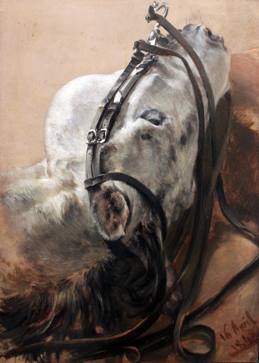 Hestestudie af Adolph Menzel