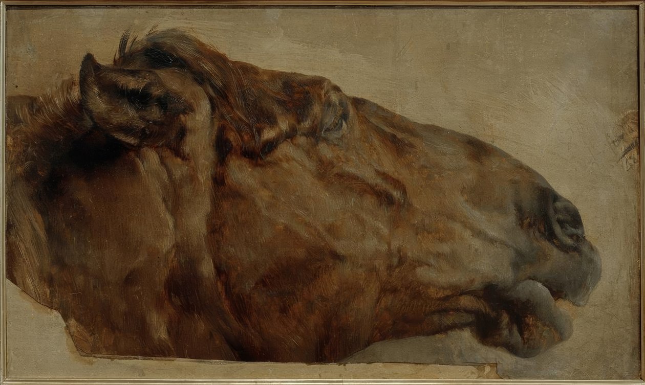 Hestestudie. Hovedet set fra siden til højre af Adolph Menzel