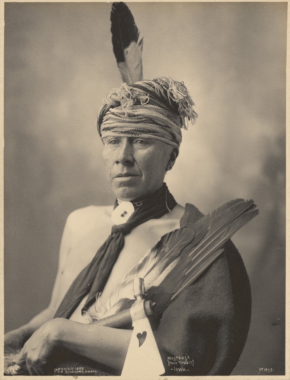 Mosteose (den hellige kanin), Iowa af Adolph F. Muhr