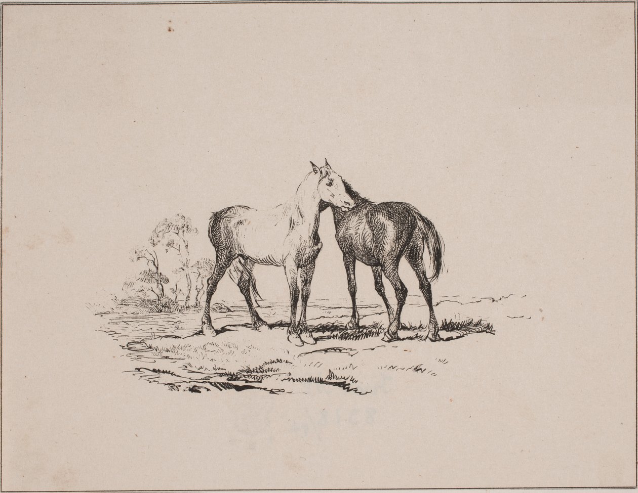 De to heste af Johan Adolph Kittendorff