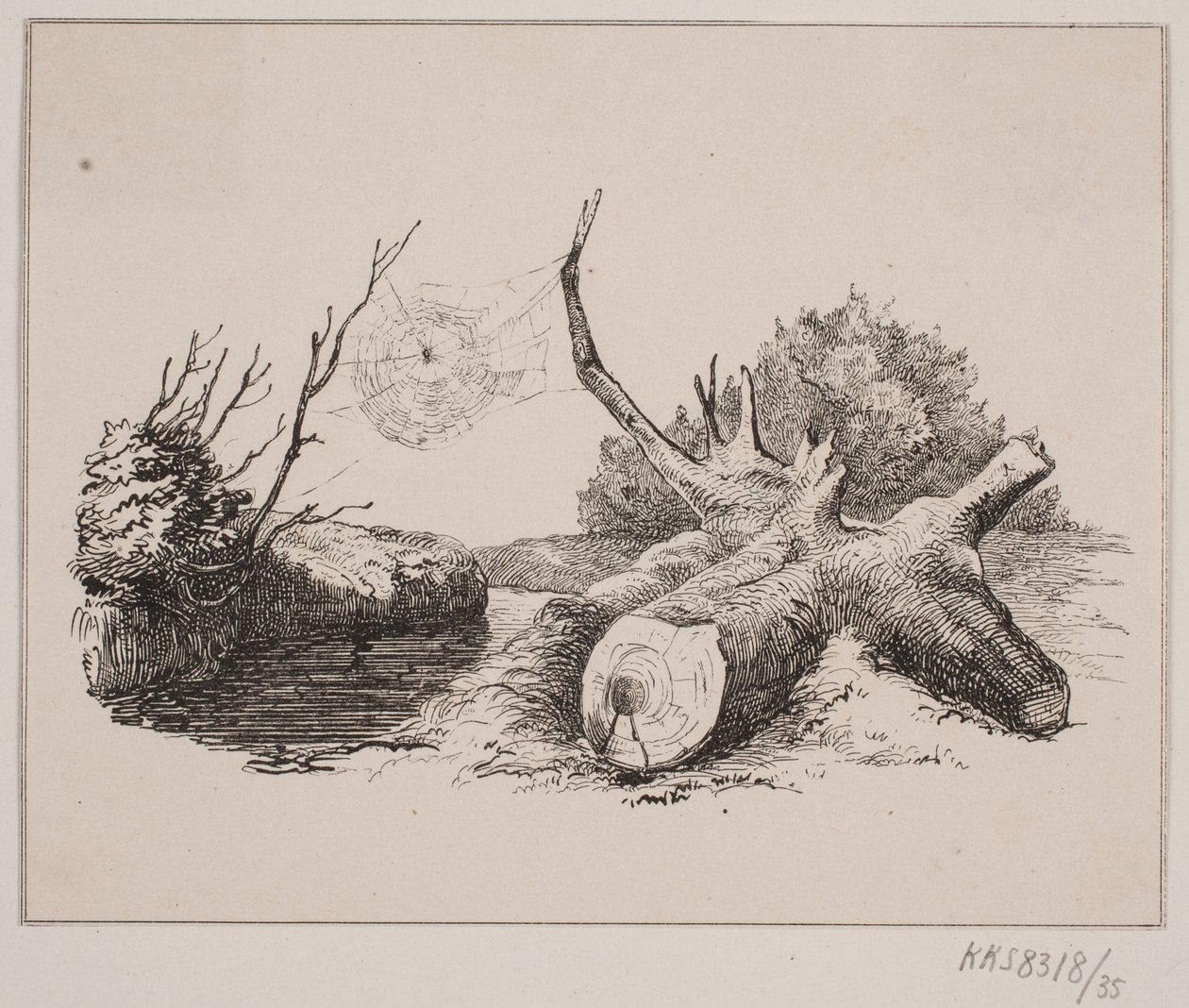 Ederkoppen af Johan Adolph Kittendorff