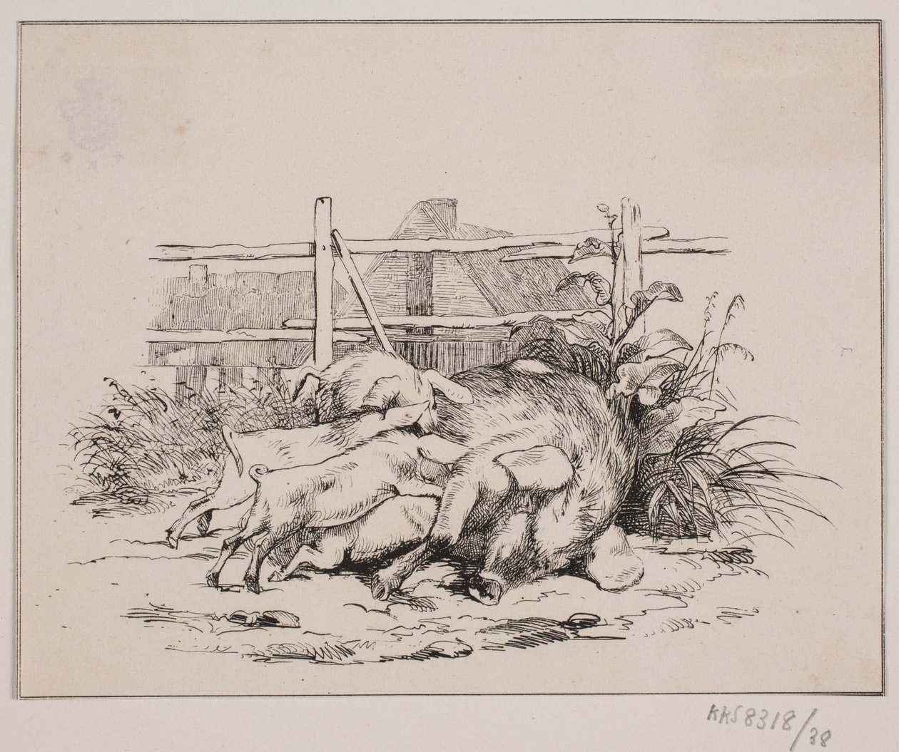 Grisene af Johan Adolph Kittendorff