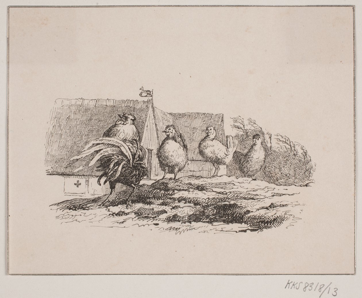 Hanen af Johan Adolph Kittendorff
