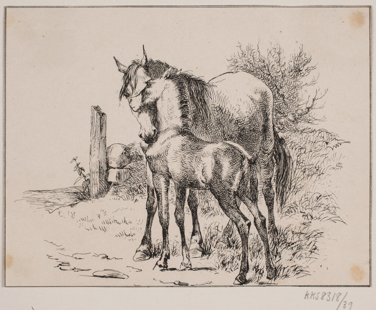Hesten og føllet af Johan Adolph Kittendorff
