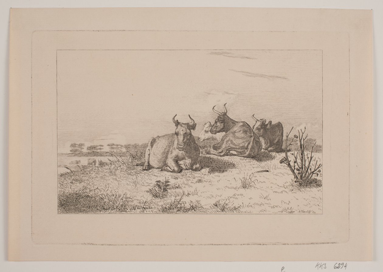 Hvilende køer af Johan Adolph Kittendorff