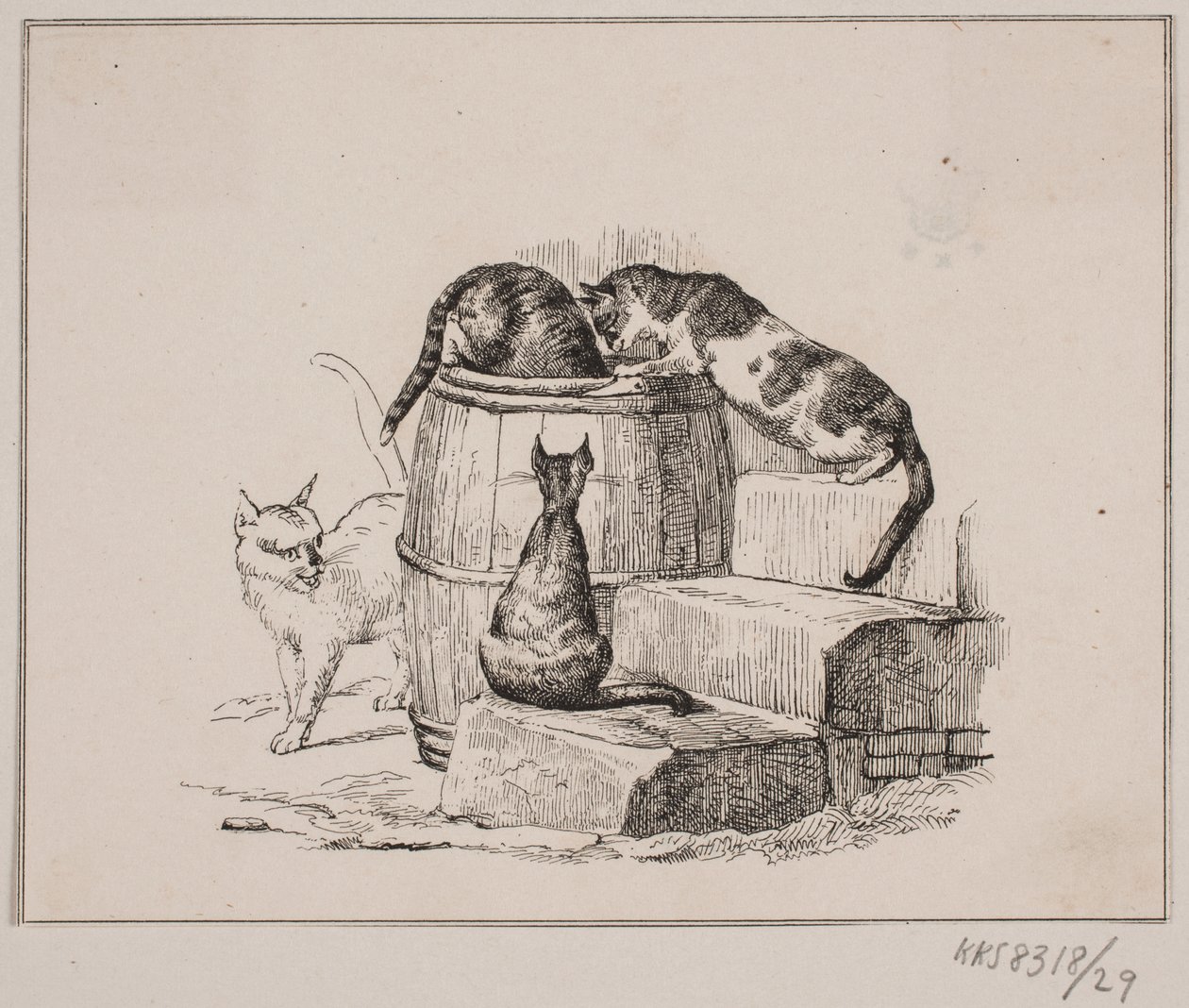 Kattene af Johan Adolph Kittendorff