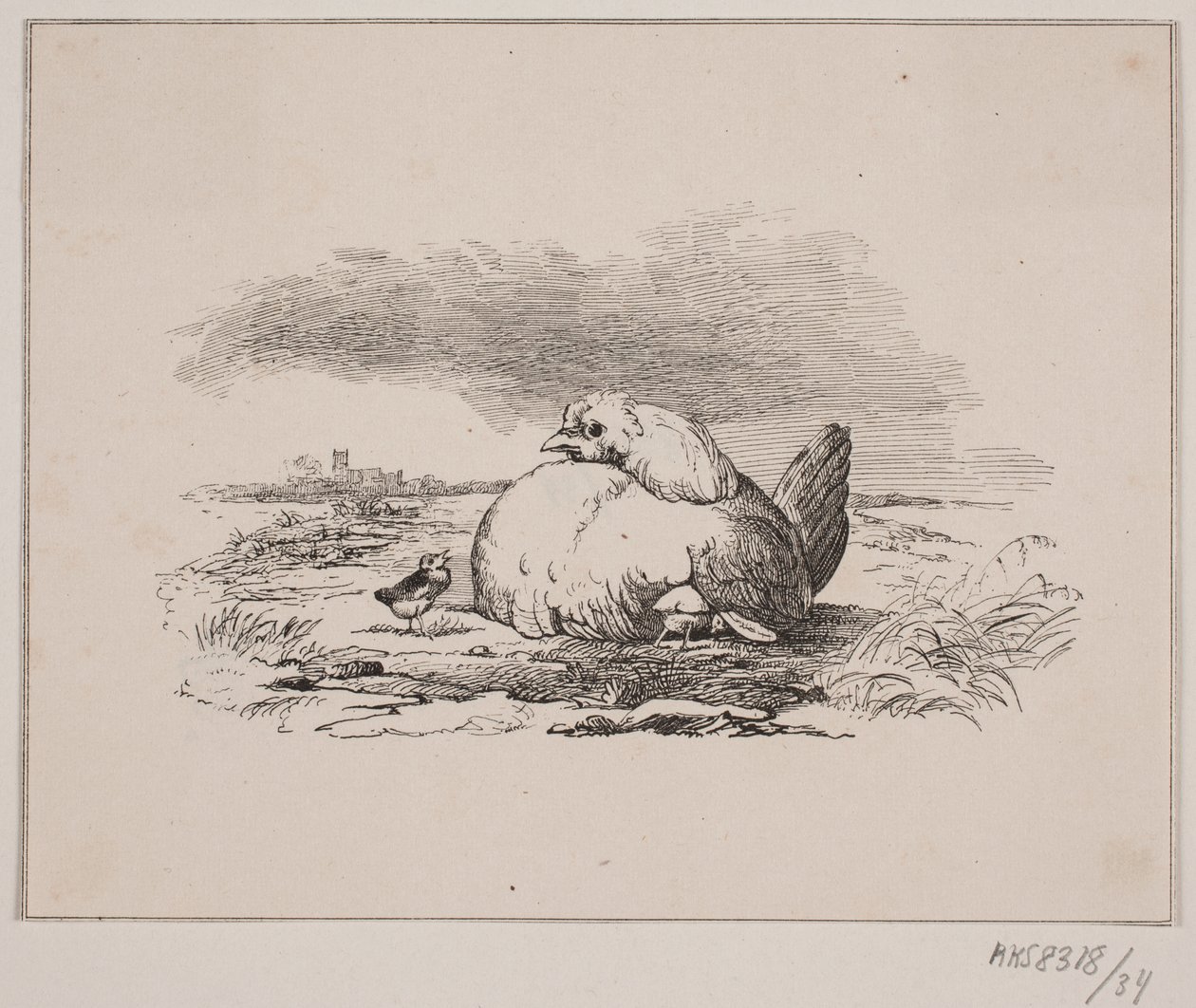 Kyllingerne af Johan Adolph Kittendorff