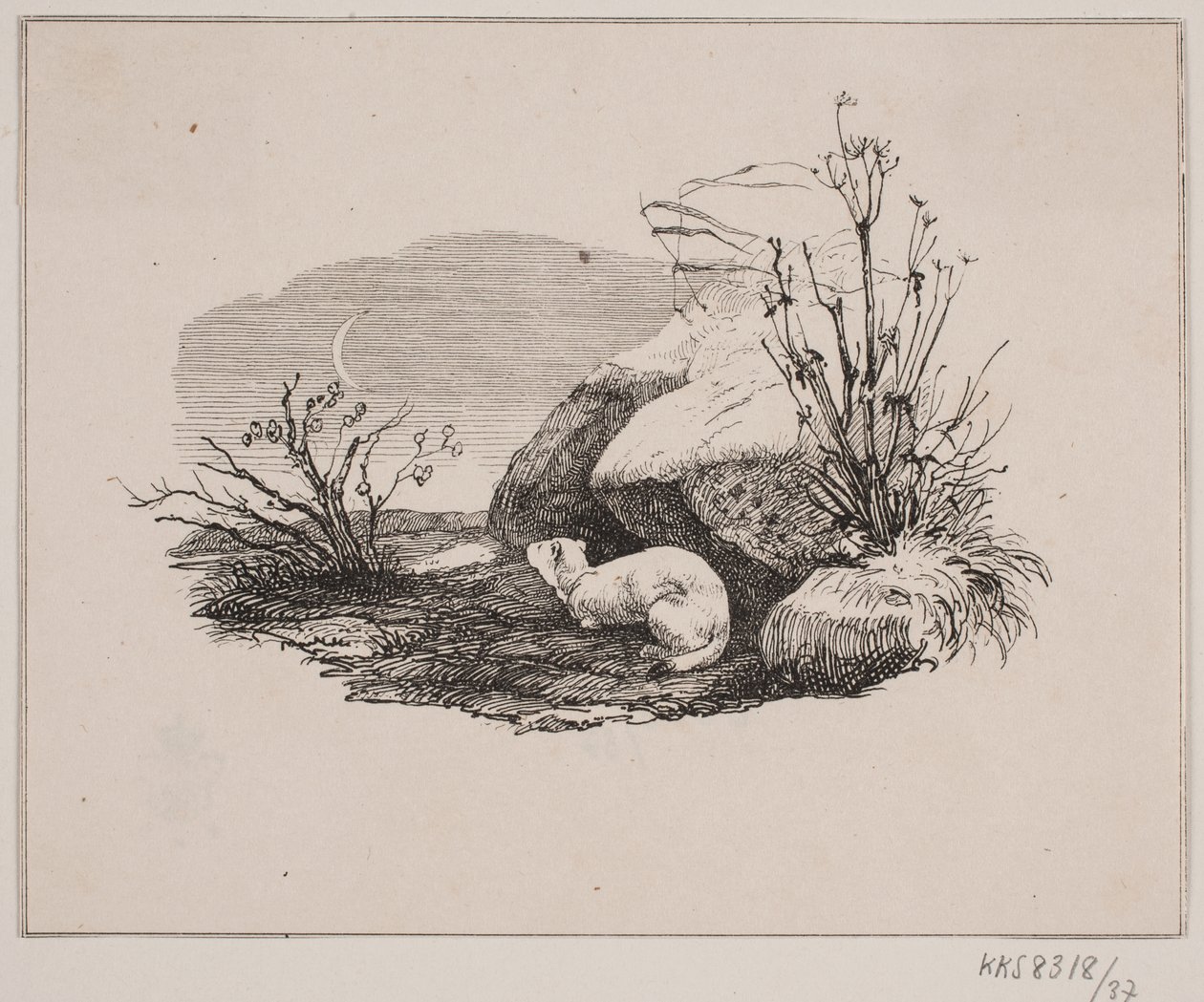 Lækatten af Johan Adolph Kittendorff