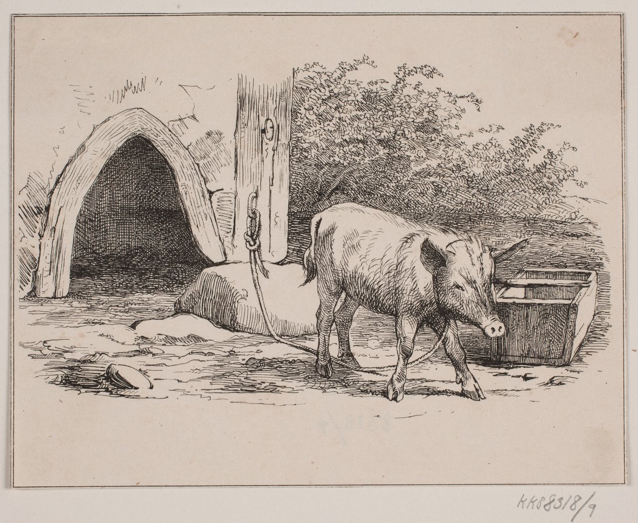 Lænkegrisen af Johan Adolph Kittendorff