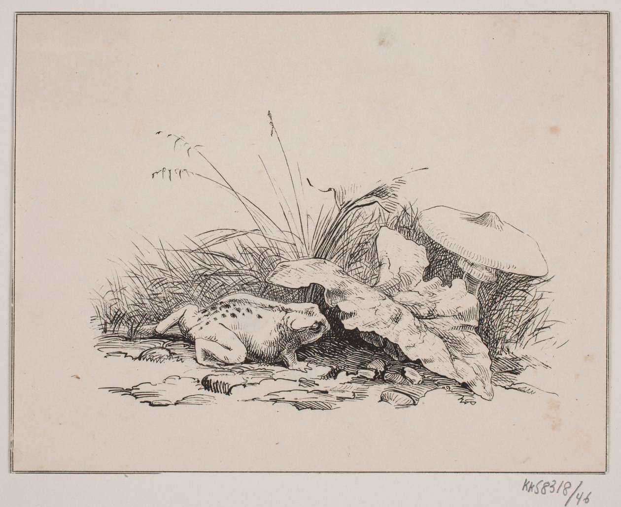 Tudsen af Johan Adolph Kittendorff