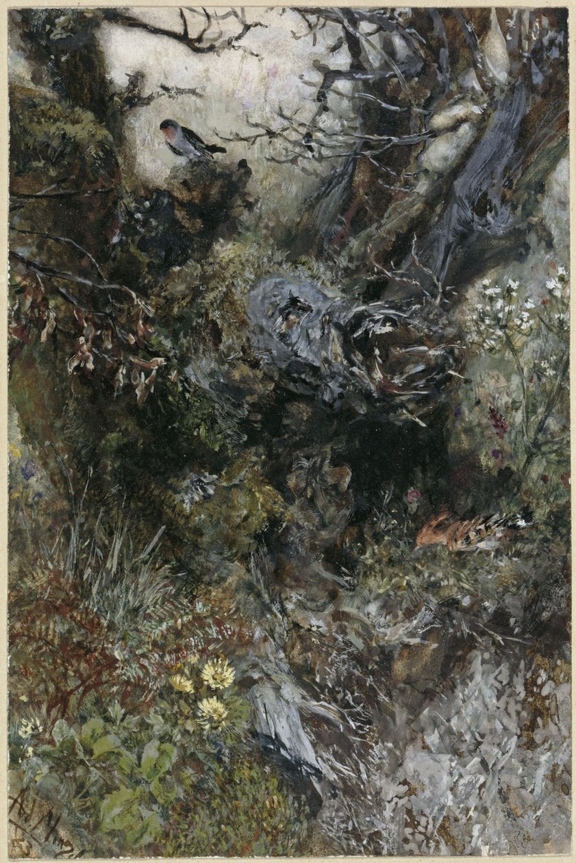 Træstub med rødhals og hærfugl. Fra «Børnealbummet» af Adolph Menzel