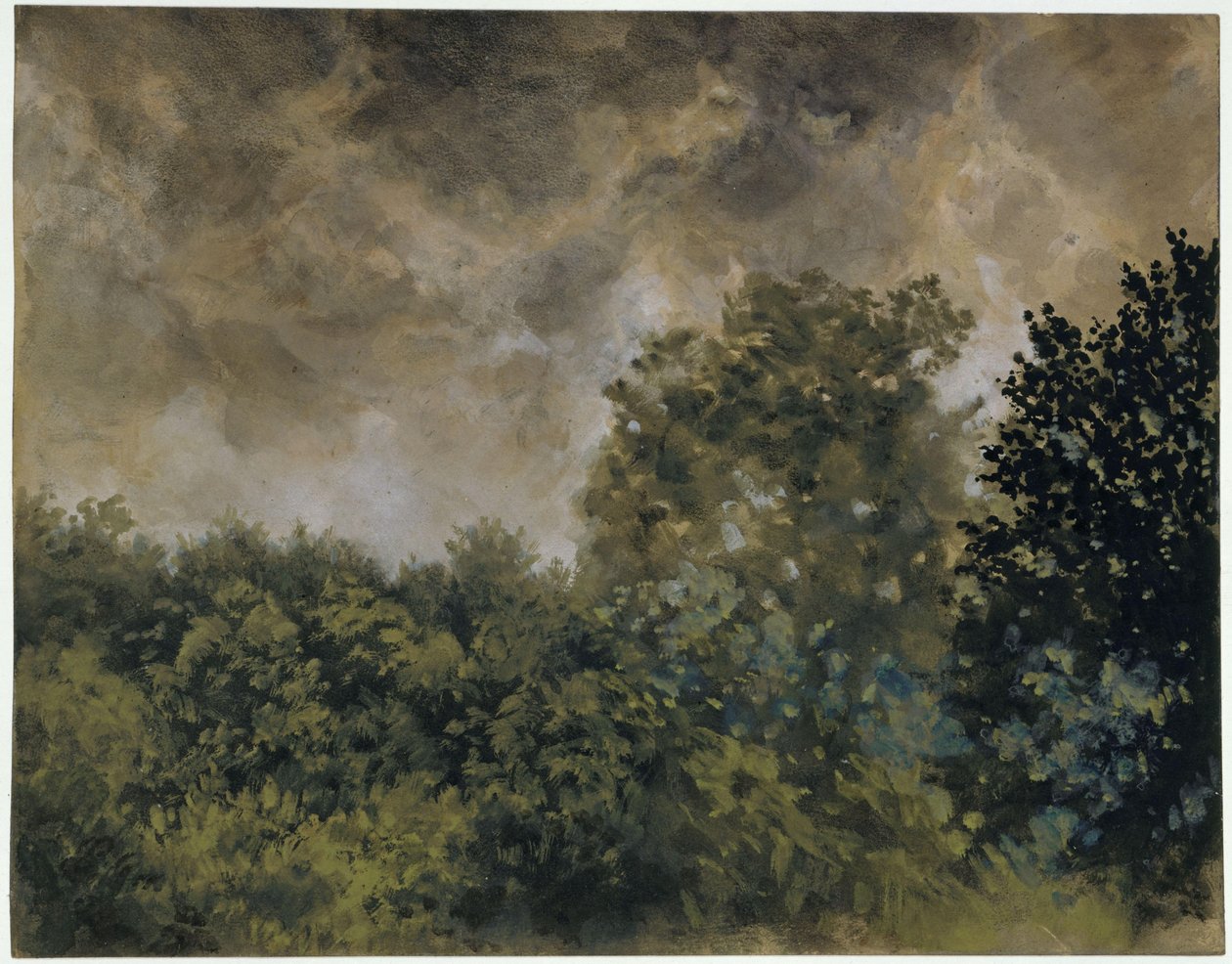 Udsigt over løvskov af Adolph Menzel