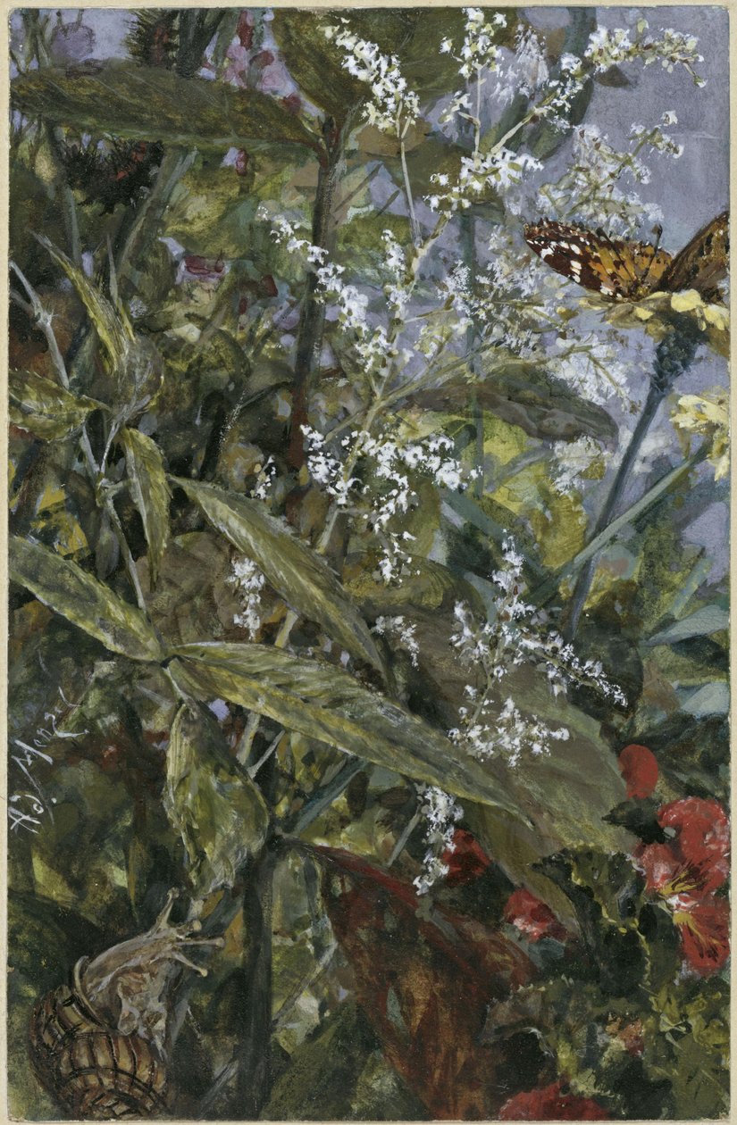 Blomster med en sommerfugl og en snegl. Fra »Børnealbummet« af Adolph Menzel