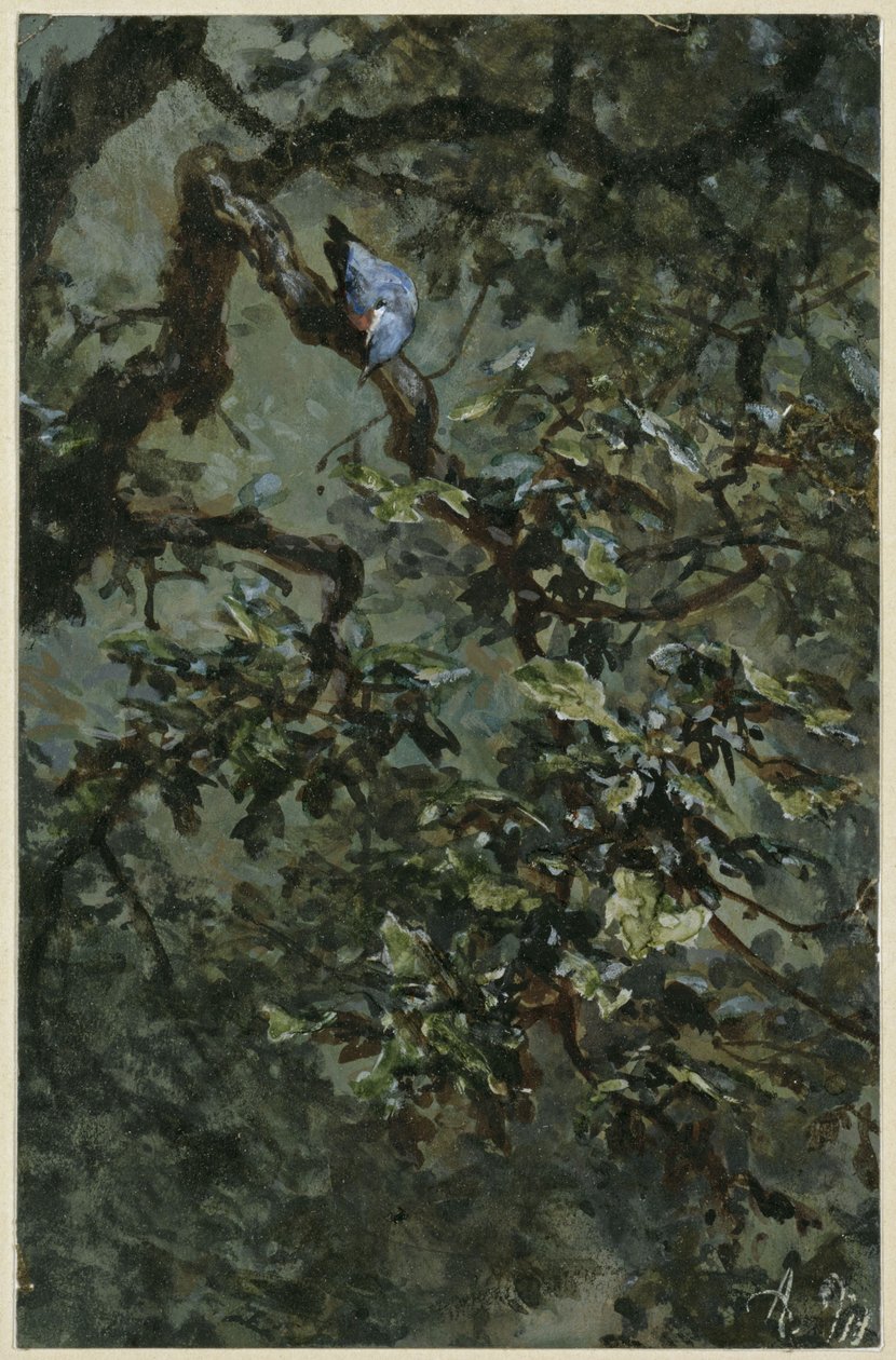Den blå spætte i løvet. Fra "Børnealbummet" af Adolph Menzel