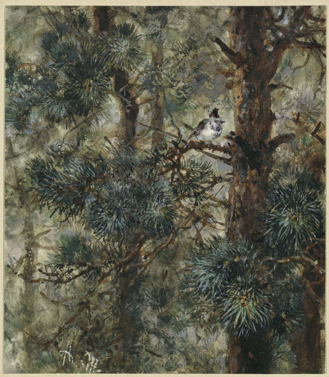 Hættefuglen i fyrretræets grene. Fra »Børnealbummet« af Adolph Menzel