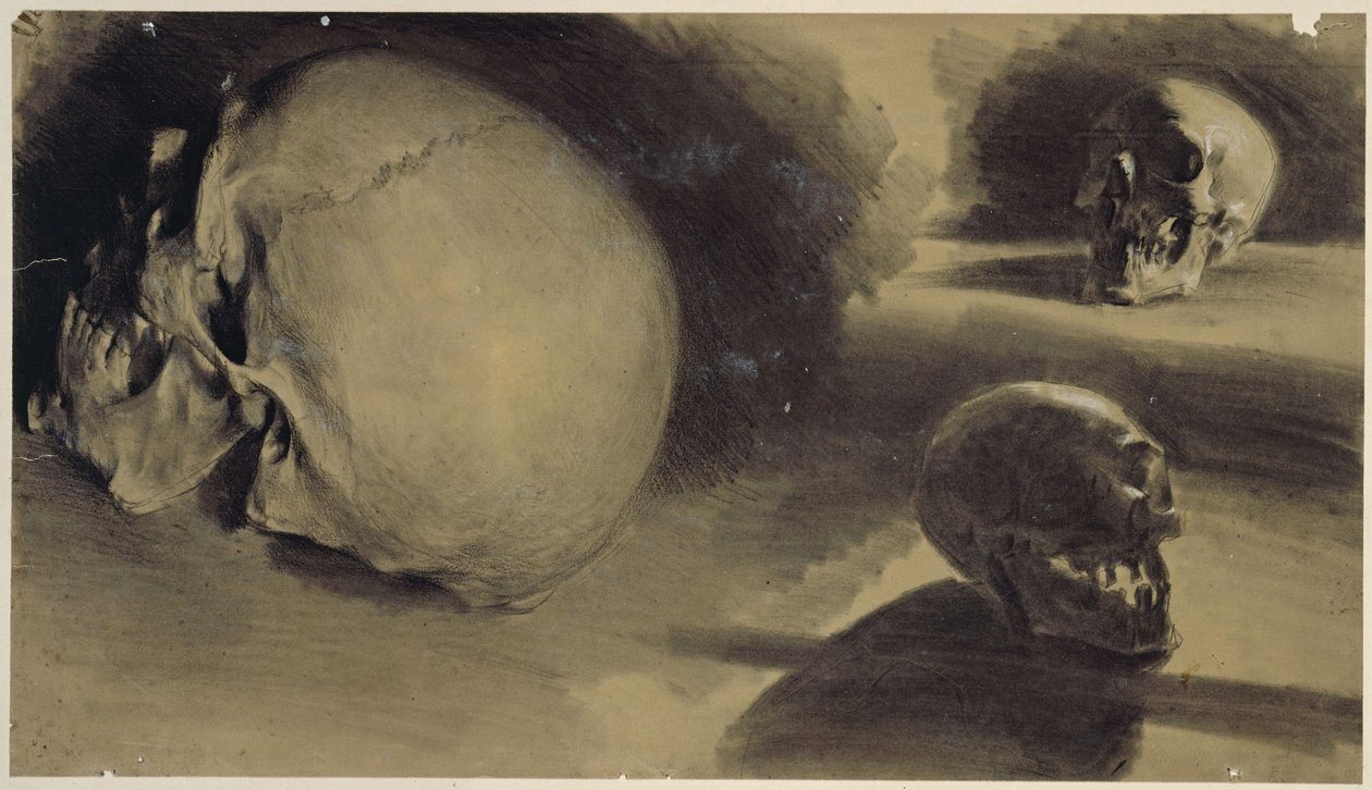 Tre billeder af en kranium af Adolph Menzel