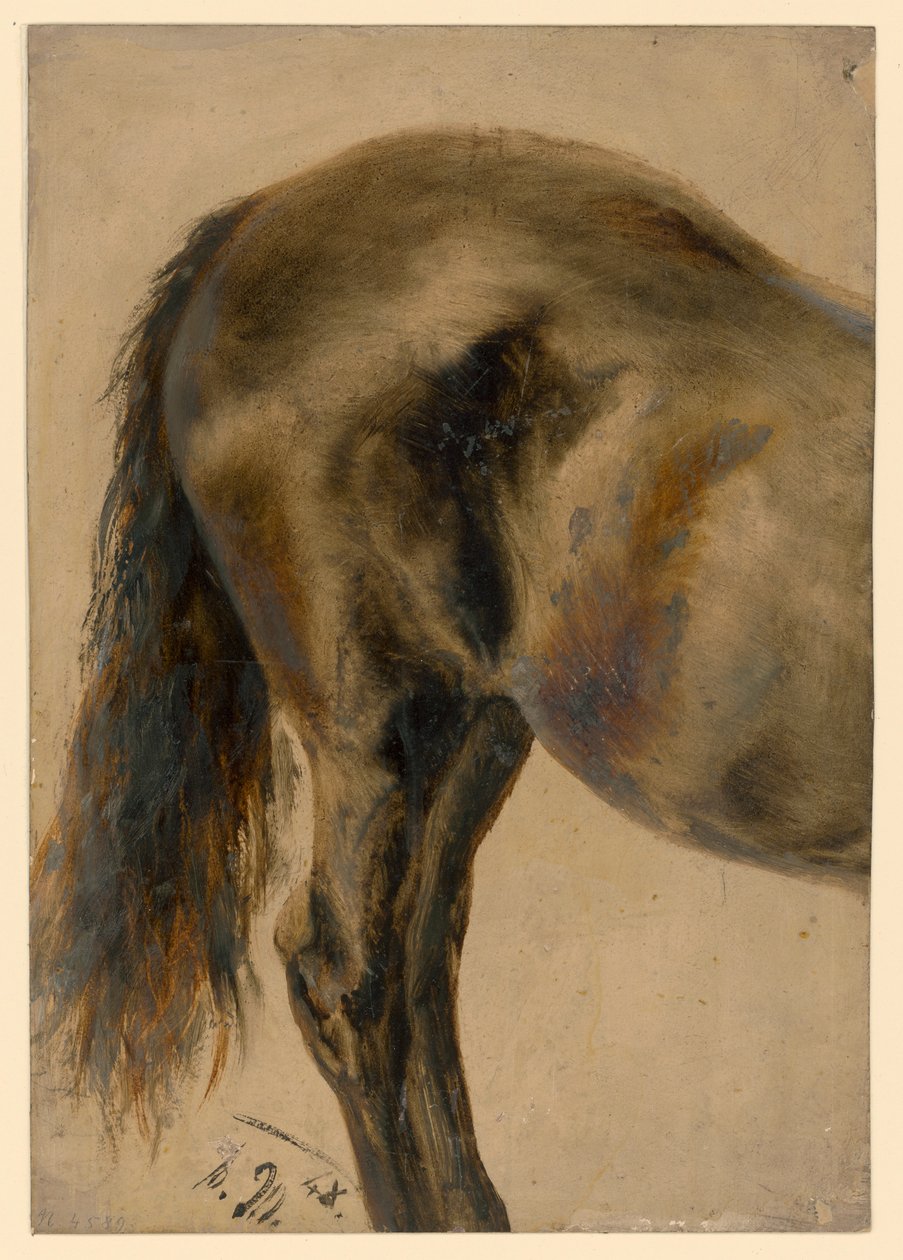 En hests bagdel set i profil af Adolph Menzel