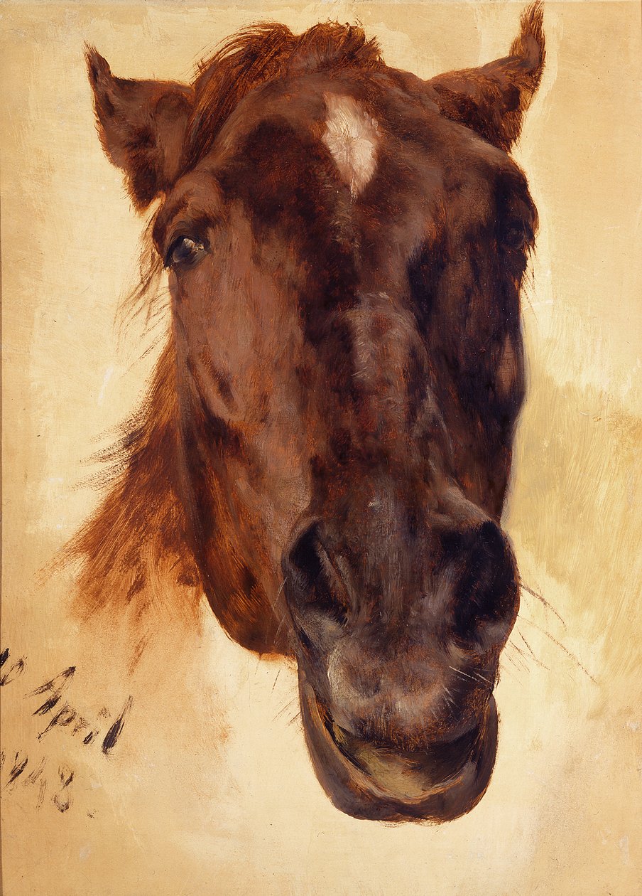 Hestehoved af Adolph Menzel