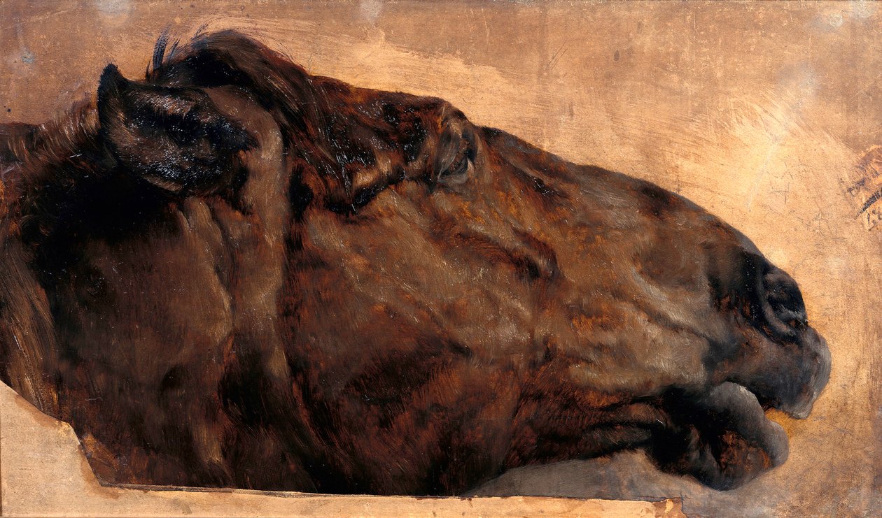 Hestestudie. Hoved set fra siden mod højre af Adolph Menzel