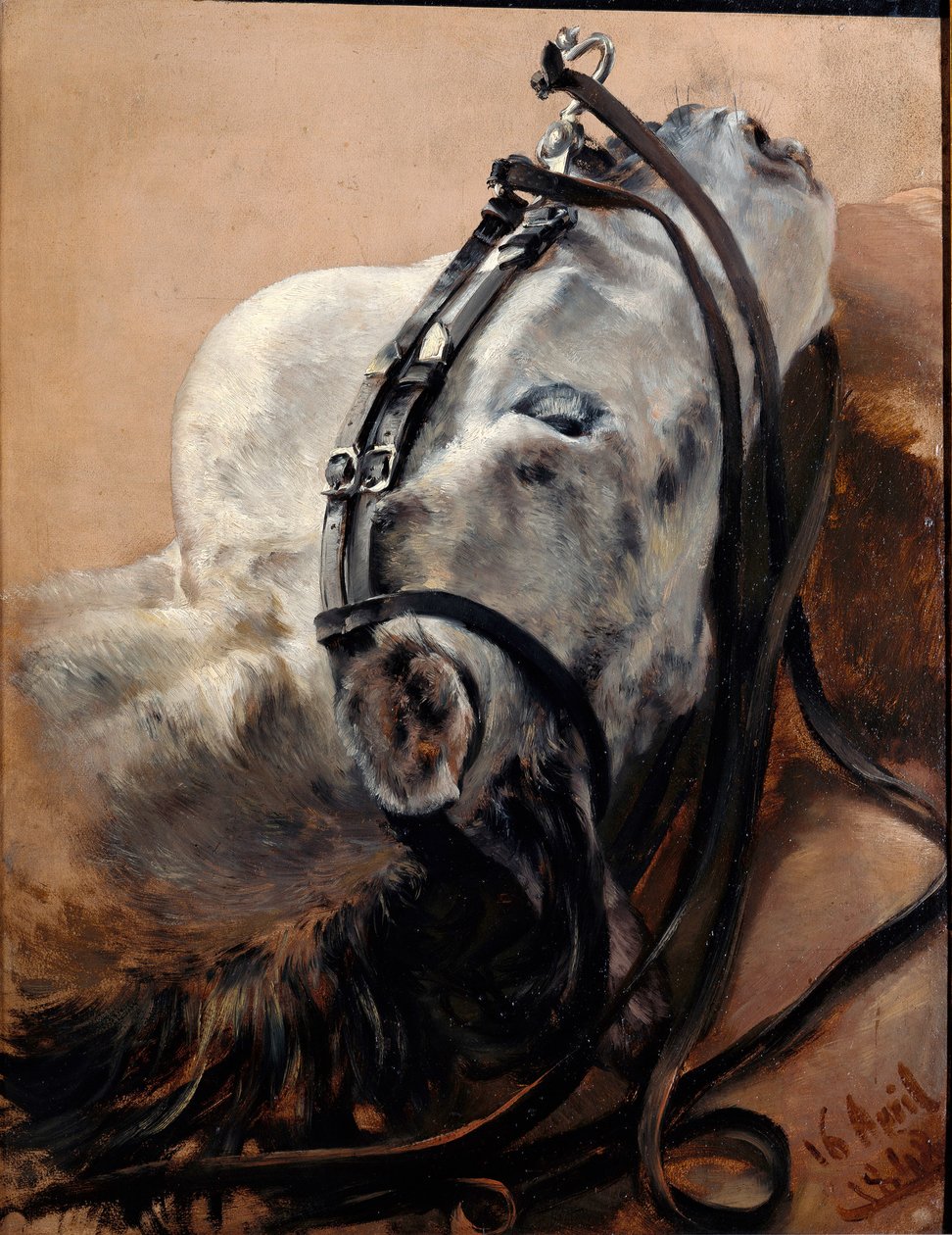 Hestestudie. Hovedet ligger ned, med seletøj på af Adolph Menzel