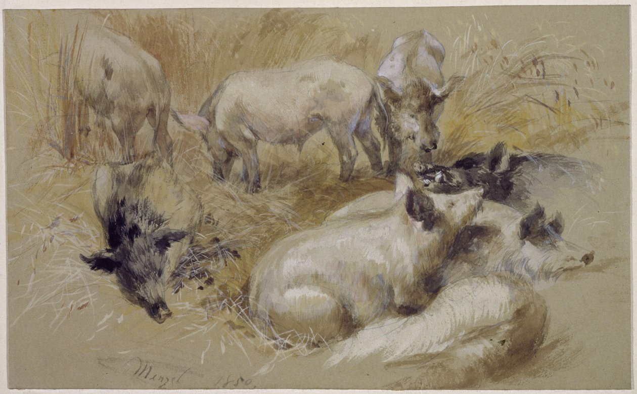 Svin i en kornmark af Adolph Menzel