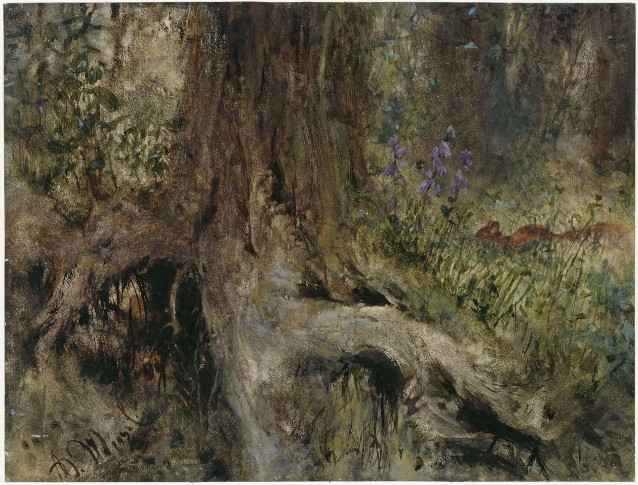 Skovbund med egern. Fra »Børnealbummet« af Adolph Menzel