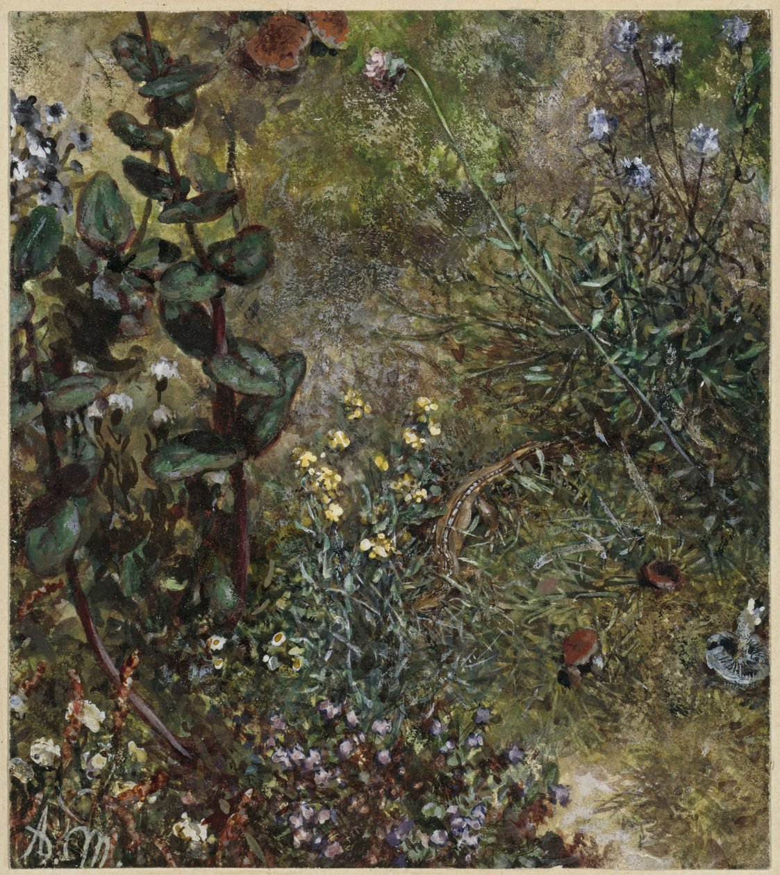 Skovbund med firbenet. Fra »Børnealbummet« af Adolph Menzel