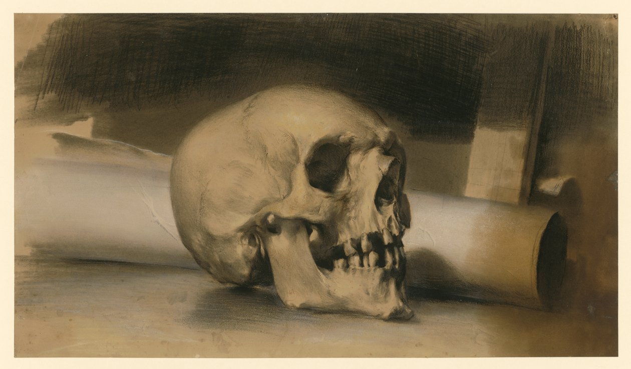 et menneskeskalle vendt mod højre, med en papirrulle bagved af Adolph Menzel