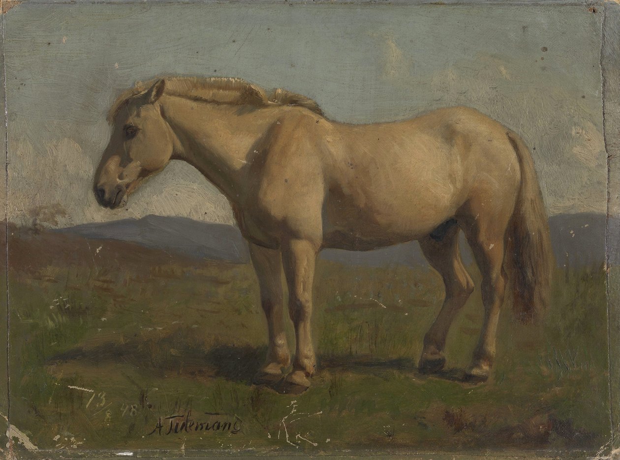 En gråbrun hest af Adolph Tidemand