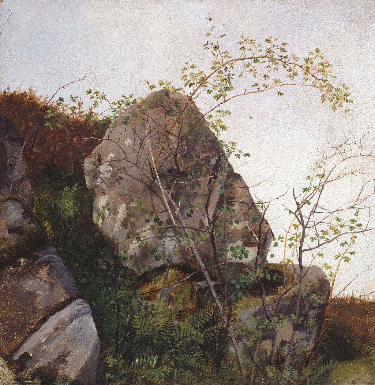 Blomstrende vilde roser og bregner af Adolph Tidemand