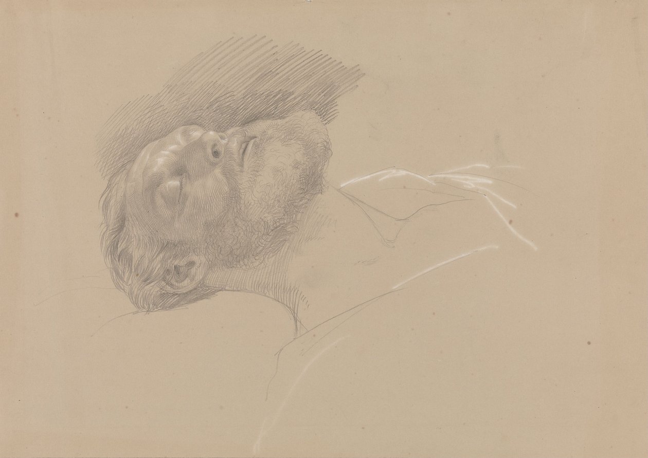 Håkon Jarl af Adolph Tidemand