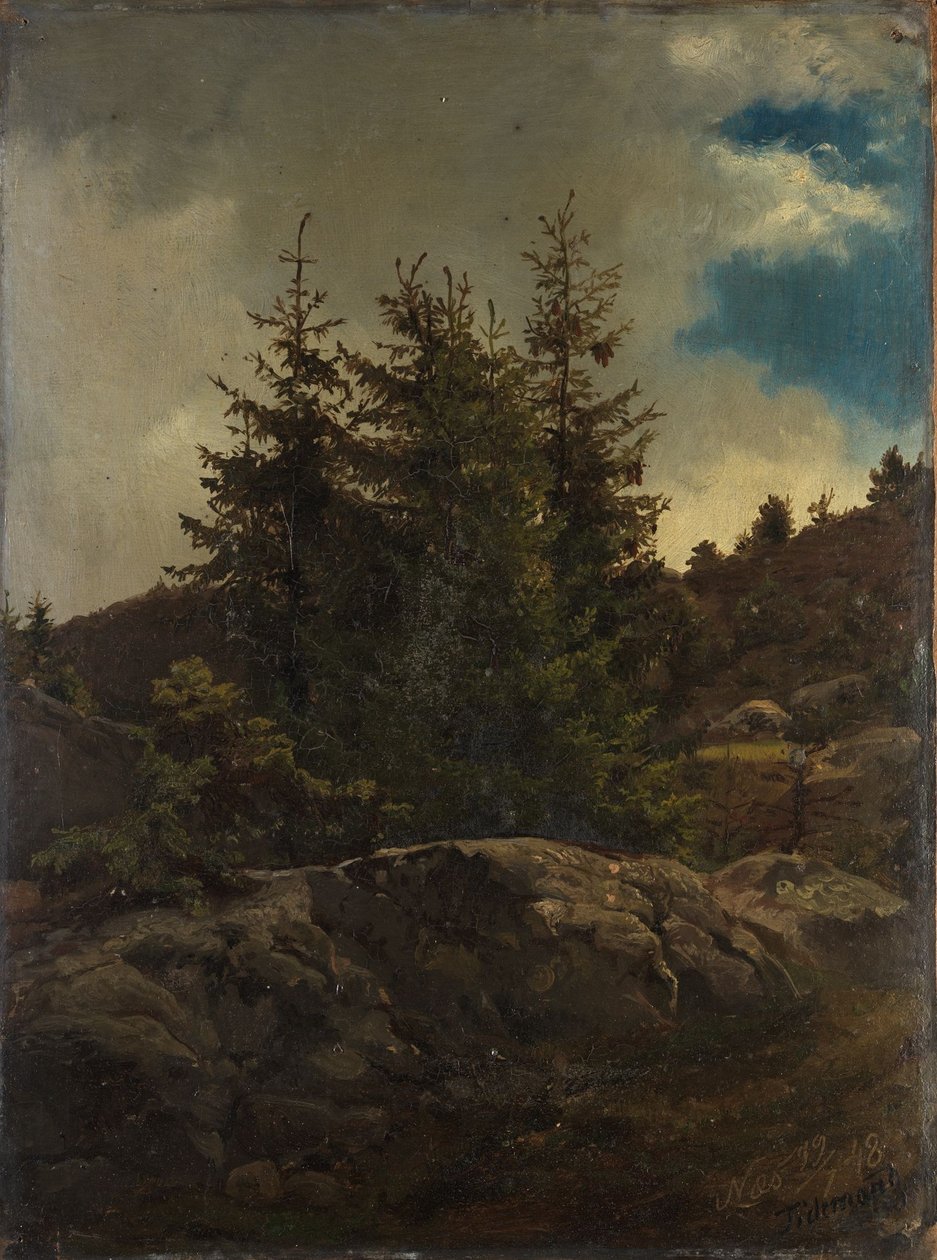 Landskab fra Nes i Hallingdal af Adolph Tidemand