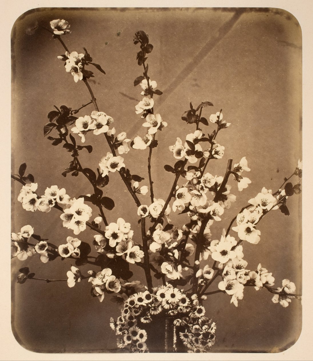 Blomstret stilleben af Adolphe Braun