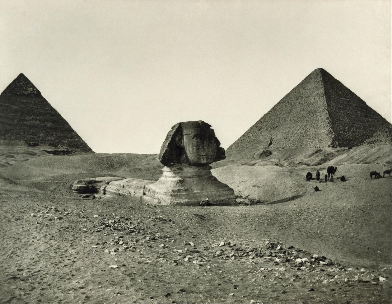 Sfinxen og pyramiderne af Adolphe Braun