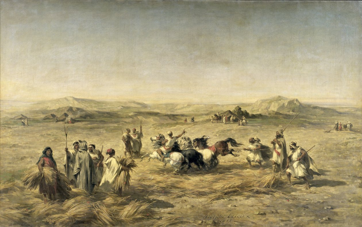Tærskning af hvede i Algeriet, 1853 af Adolphe Pierre Leleux