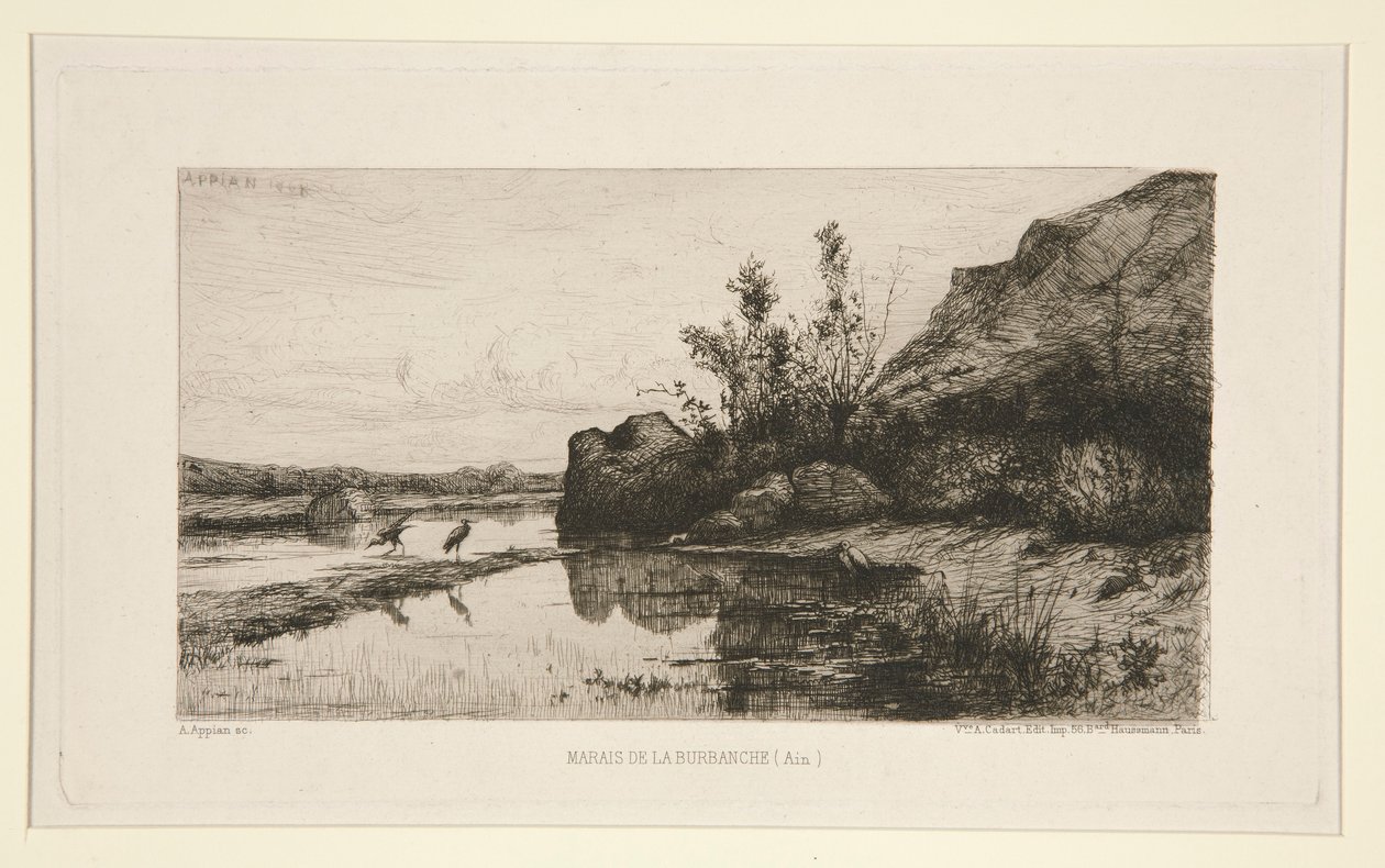 Burbanche Marsh (Ain) af Adolphe Appian