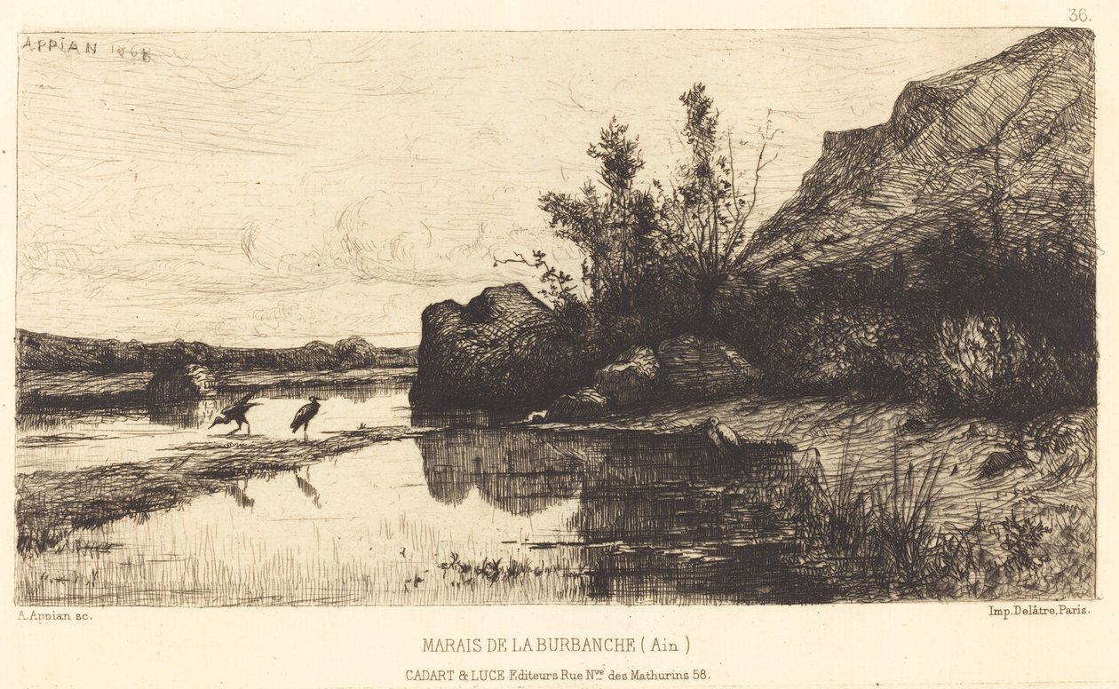 Marsh of the Burbanche af Adolphe Appian