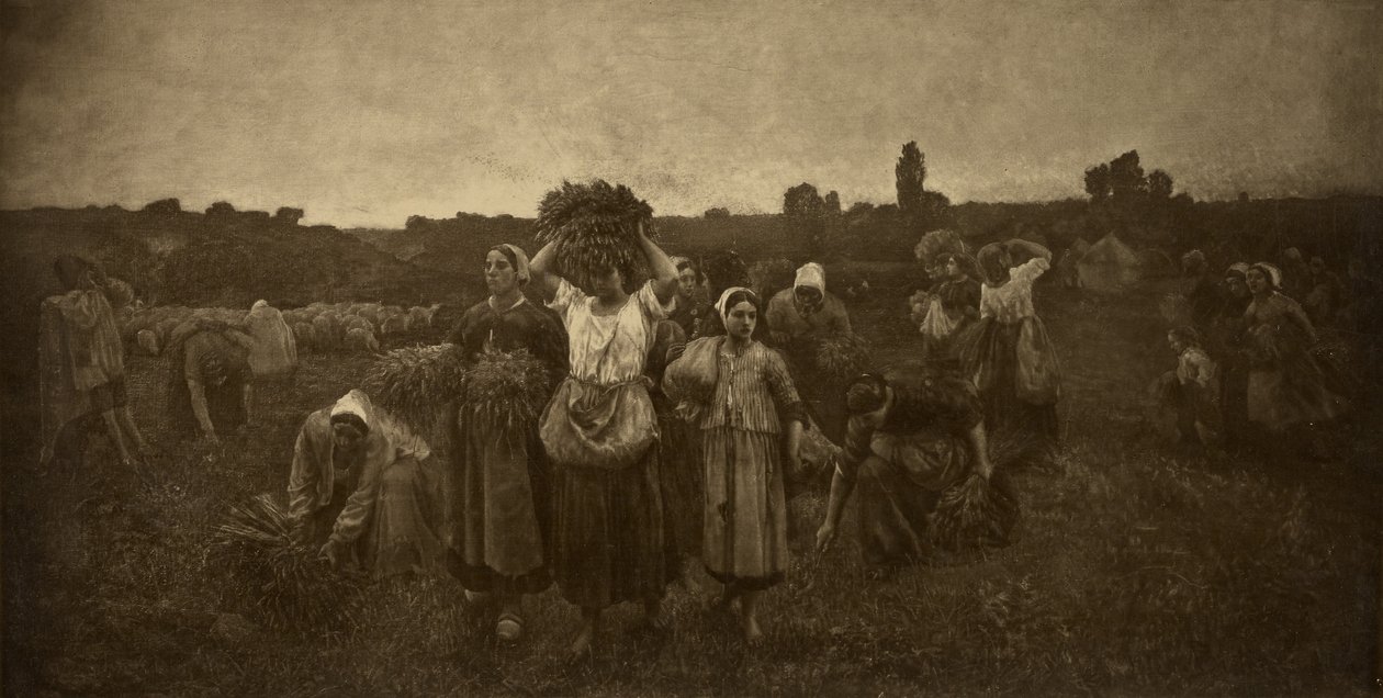 Tilkaldelse af kornetterne af Adolphe Braun