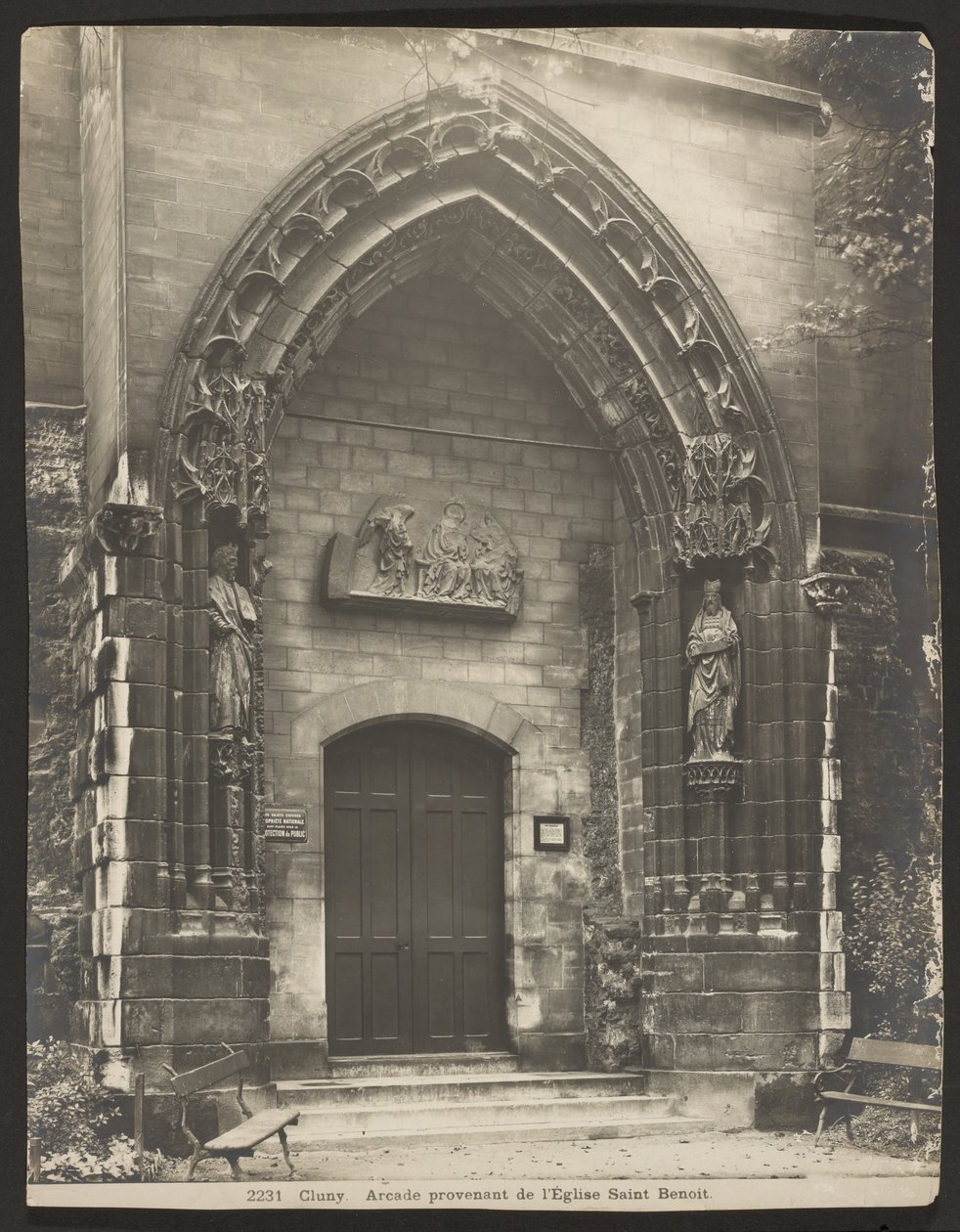 Cluney af Adolphe Braun