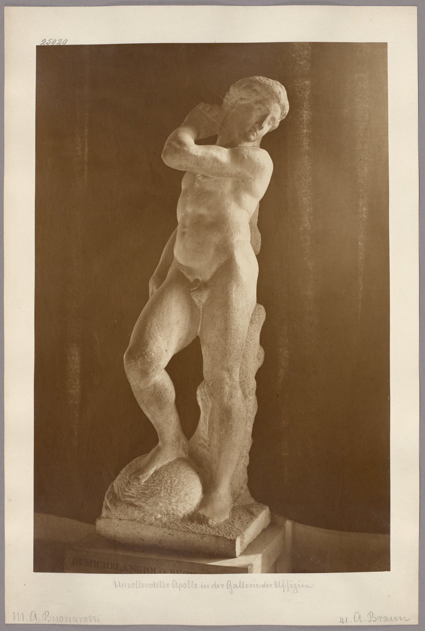 Firenze: Michelangelos ufærdige Apollo i Galleria degli Uffizi af Adolphe Braun
