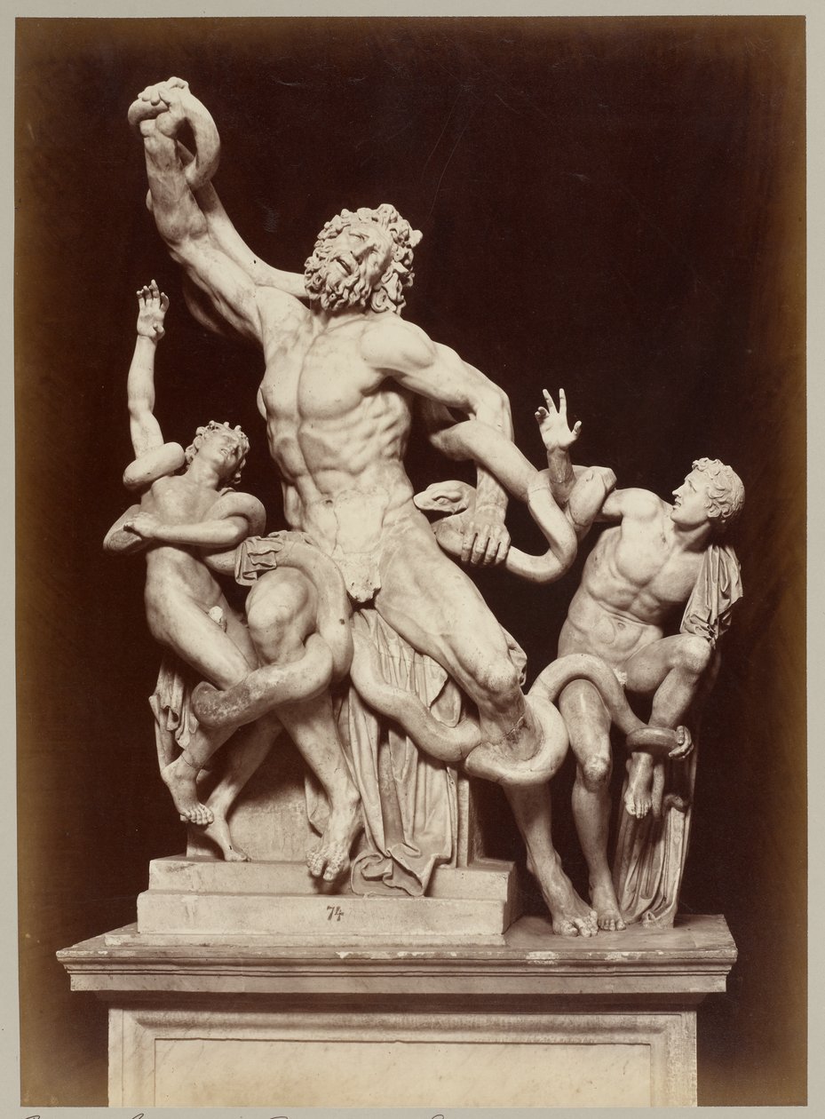 Laokoon i Vatikanmuseet af Adolphe Braun