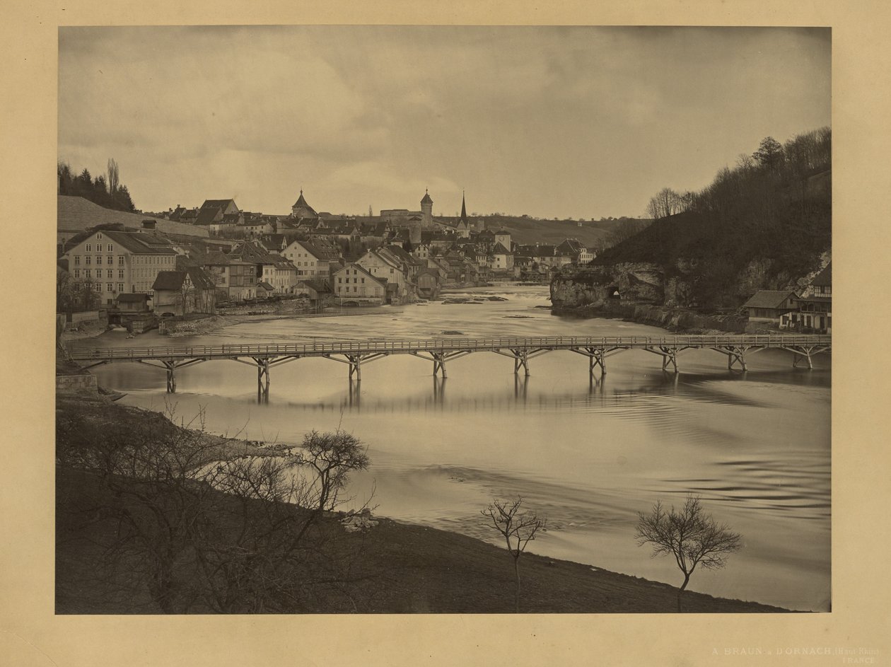 [Udsigt over Schaffhausen, Schweiz] af Adolphe Braun