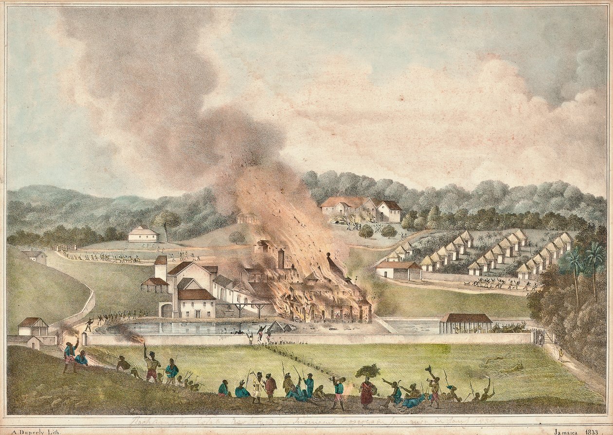 Ødelæggelsen af Roehampton Estate i Parish of St. James