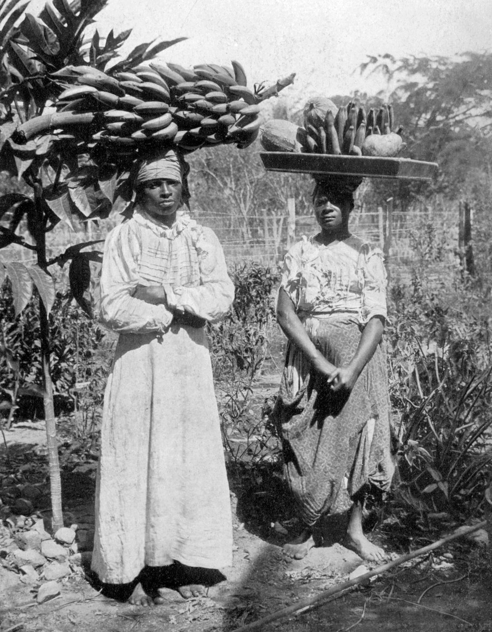 Frugtsælgere, Jamaica, c1905 af Adolphe Duperly and Son