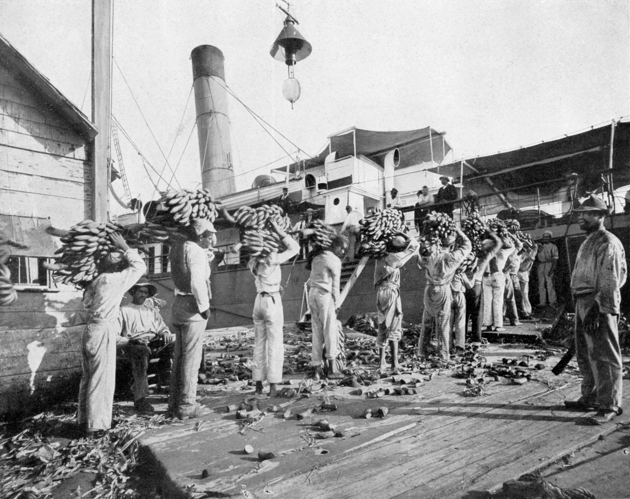 Indlæser bananer, Port Antonio, Jamaica, c1905. af Adolphe Duperly and Son