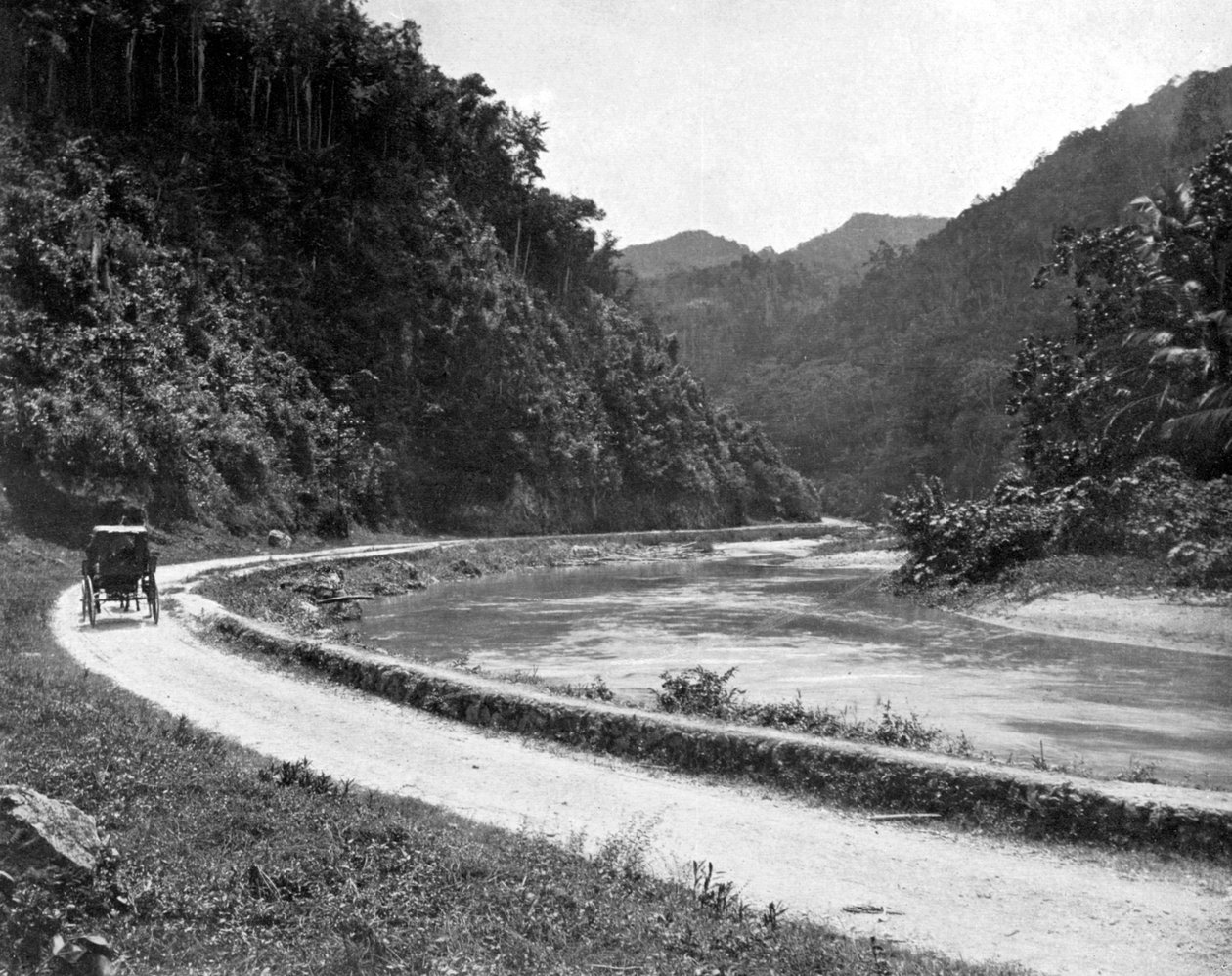 Road to Bog Walk, Jamaica, c1905. af Adolphe Duperly and Son