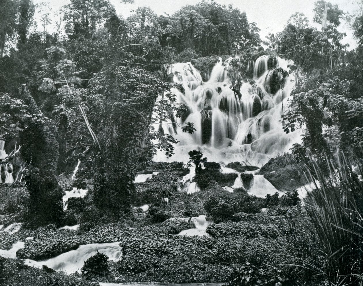 Roaring River Falls, Jamaica, c1905. af Adolphe Duperly and Son