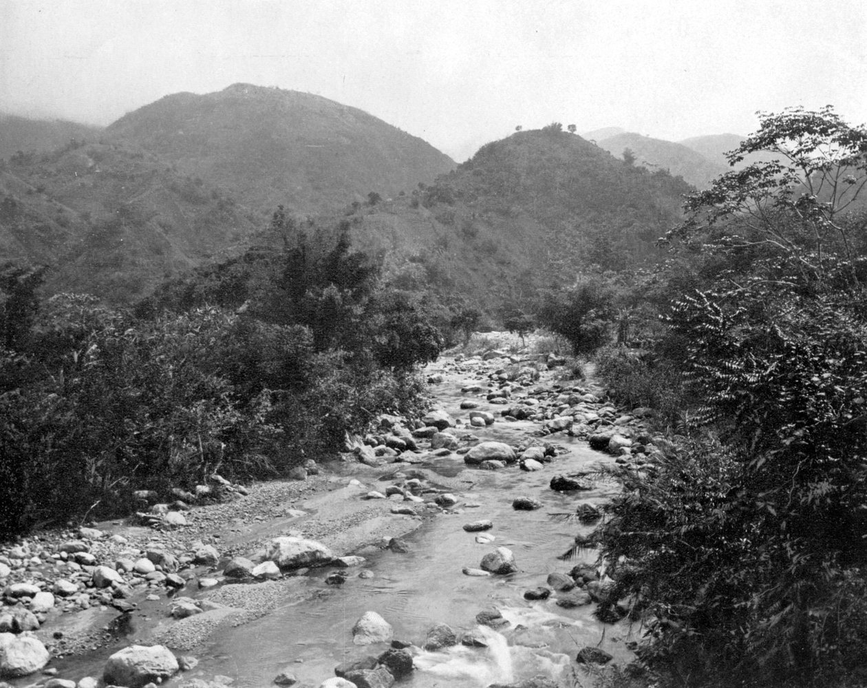 The Wag-River, Castleton, Jamaica, c1905. af Adolphe Duperly and Son