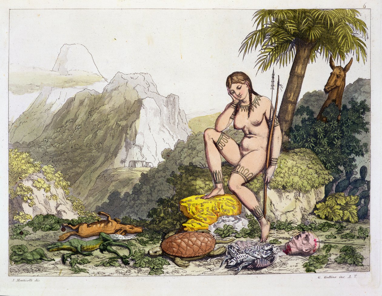 Sydamerikansk indianerkvinde, graveret af Gallo Gallina (1796-1874) (farvegravering) af Adolphe Joseph Thomas Monticelli