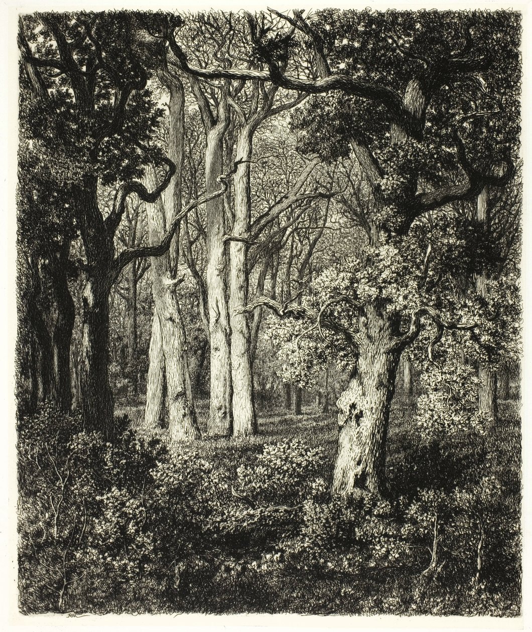 Old Oaks ved Bas Bréau af Adolphe Martial Potemont